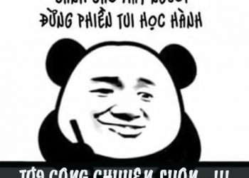 [Hot] Trend Tới Công Chuyện Luôn Là Gì? Bắt Nguồn Từ Đâu