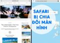 Safari Bị Chia Đôi Màn Hình Làm Sao Để Tắt?