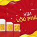 Sim lộc phát là gì? Ý nghĩa đằng sau những con số