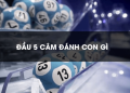Mách bạn cách soi cầu 5 câm dễ dàng trúng lớn