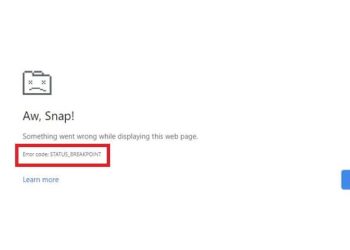 Sửa lỗi STATUS_BREAKPOINT trên Chrome