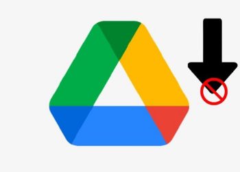 Drive không có nút tải xuống