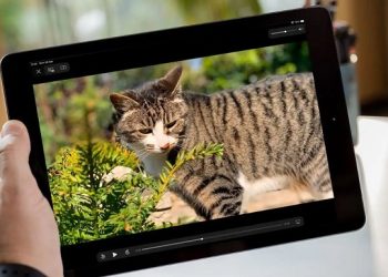 Không phóng to được màn hình khi xem video trên iPad