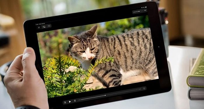 Không phóng to được màn hình khi xem video trên iPad