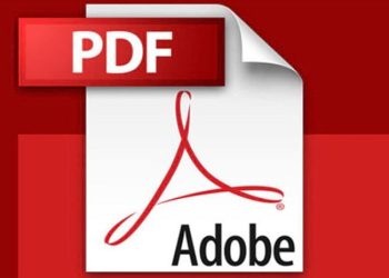 File PDF không hiển thị chữ ký số