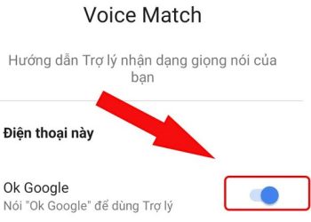 Voice match không bật được