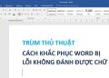 Word bị lỗi không đánh được chữ