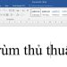 lỗi gõ chữ Hoa thành chữ thường trong Word