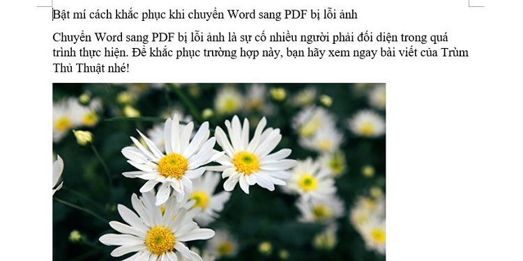 Chuyển Word sang PDF bị lỗi ảnh