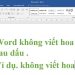 Lỗi Word không viết hoa sau dấu chấm