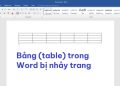 Bảng (table) trong Word bị nhảy trang