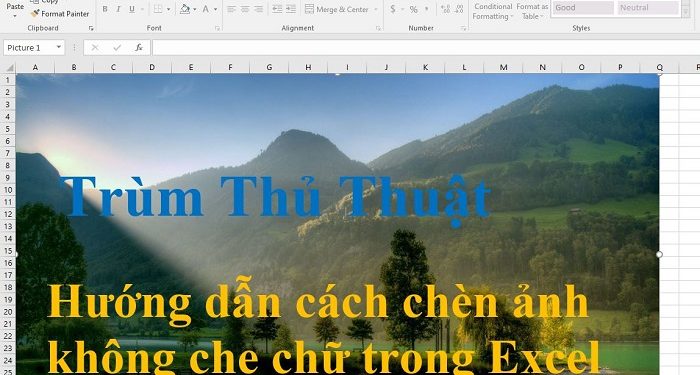 Chèn ảnh vào Excel không che chữ