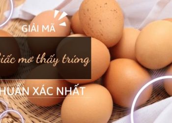Giải mã giấc mơ thấy trứng chuẩn xác nhất – Gợi ý bộ số may mắn mang đến tài lộc