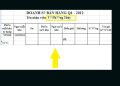 Lỗi font chữ thành dấu hỏi trong Excel