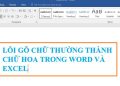 Lỗi gõ chữ thường thành chữ hoa