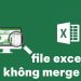 file Excel không merge được