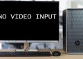 máy tính báo no video input