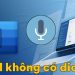 Word không có dictate