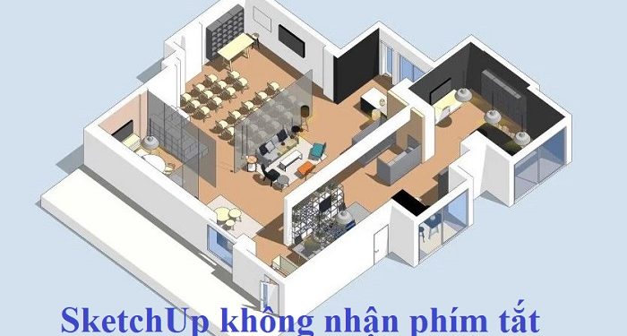 SketchUp không nhận phím tắt