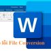 Word báo lỗi File Conversion