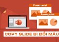 copy slide bị đổi màu