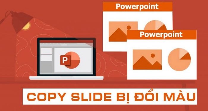 copy slide bị đổi màu