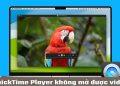 QuickTime Player không mở được video