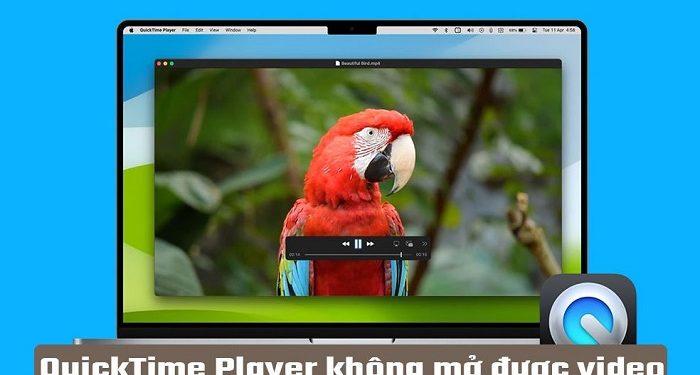 QuickTime Player không mở được video