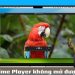 QuickTime Player không mở được video