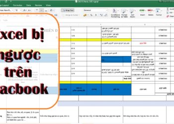 Excel bị ngược trên Macbook