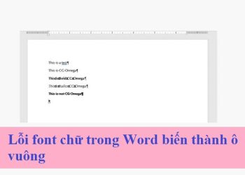 Lỗi font chữ trong Word biến thành ô vuông