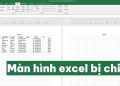 màn hình Excel bị chia đôi