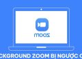 background Zoom bị ngược chữ