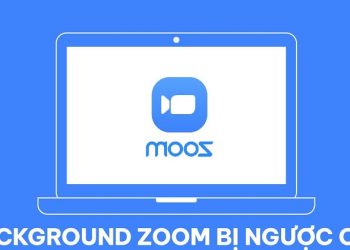 background Zoom bị ngược chữ