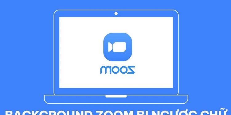 background Zoom bị ngược chữ