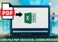 chèn file PDF vào Excel không mở được
