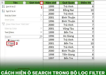 Cách hiện ô Search trong bộ lọc Filter