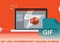 Chèn gif vào PowerPoint nhưng không chạy