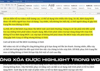 không xóa được Highlight trong Word