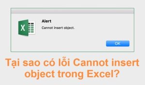 Lỗi Cannot insert object trong Excel [Đã sửa]