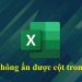 Lỗi không ẩn được cột trong Excel