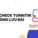 cách check Turnitin không lưu bài