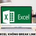 file Excel không break link được