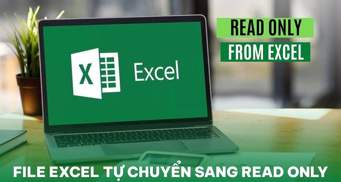 File Excel tự chuyển sang read only