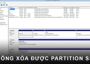 Không xóa được Partition SSD