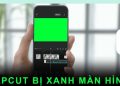 CapCut bị xanh màn hình
