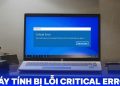 máy tính bị lỗi critical error
