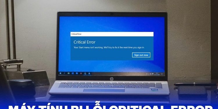 máy tính bị lỗi critical error