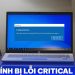 máy tính bị lỗi critical error