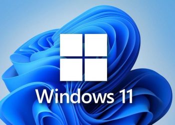 Bộ điều hợp mạng bị lỗi Win 11
